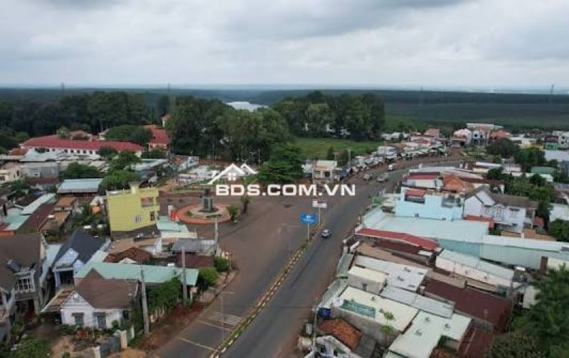 Đấu giá rút gọn QSDĐ và tài sản gắn liền với đất tại Đồng Nai